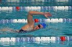 Swimming vs Bentley  Wheaton College Swimming & Diving vs Bentley College. - Photo by Keith Nordstrom : Wheaton, Swimming & Diving